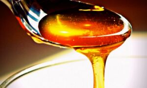 Польза пчелиного меда, калорийность
