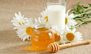 Мёд с молоком польза и вред