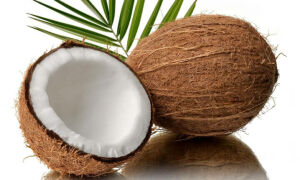 Польза и вред кокоса, калорийность